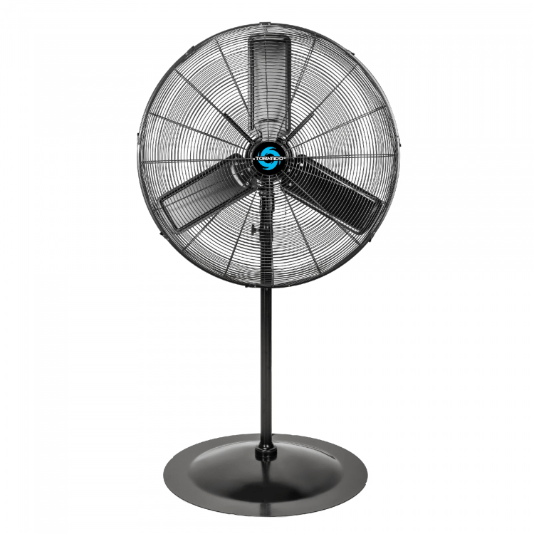 Pedestal fan